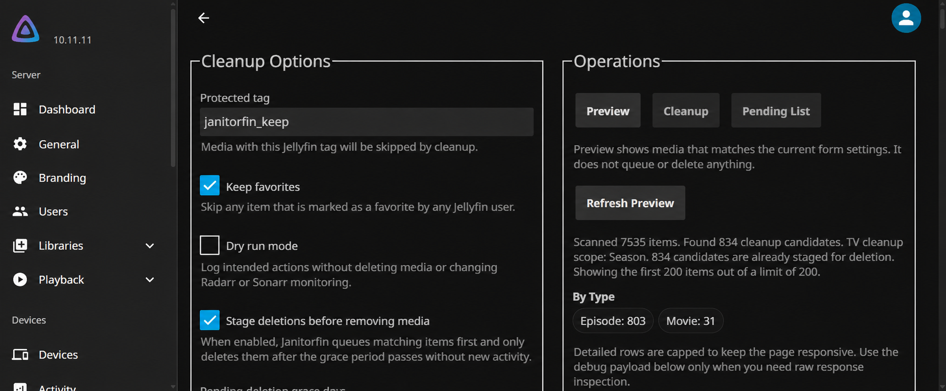 Janitorfin's Jellyfin admin interface with the server name hidden, showing cleanup protection controls alongside the preview operations panel.